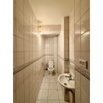 namas Aleksote Žilvičių g. 14, Kaunas